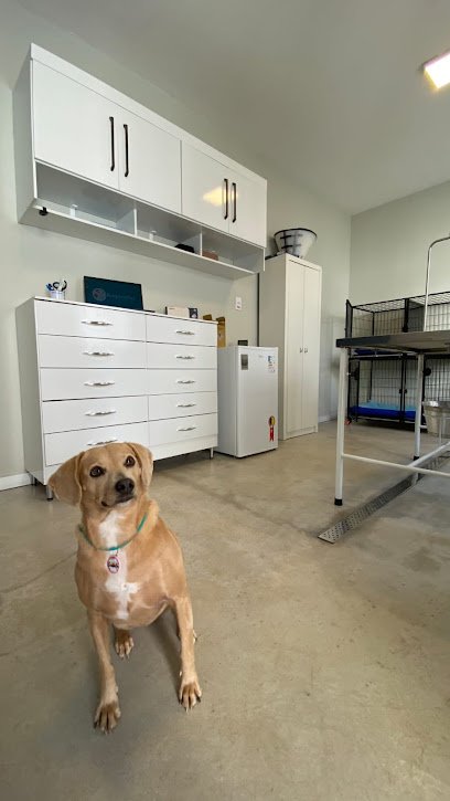 Amparo Pet | Clínica Veterinária em Ponta Grossa