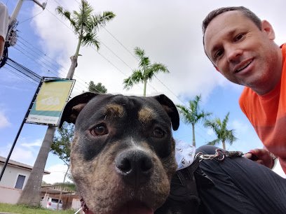 Pet Shop Vip Dog - Hospedagens e Banho e Tosa