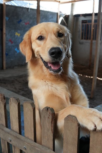 Clínica Veterinária Emporium Pet 24 horas