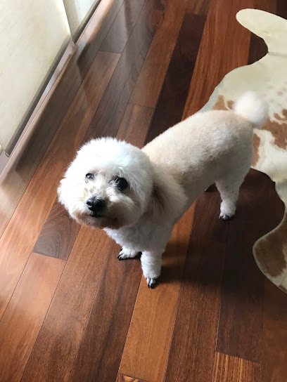 Pet Cuidados PG - Sua Clinica Veterinária com Banho e Tosa e Hotel em Ponta Grossa